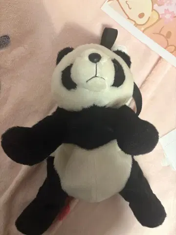 팬더 백팩
