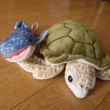 새상품급 추라우미 수족관 바다거북 고래상어 거북 봉제 인형 상어