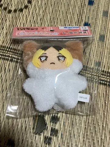 치미케모 마스코트 연마