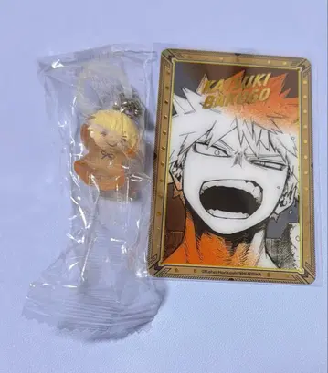 히로아카 원화전 바쿠고