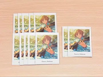 앙스타 카오루 파샤츠