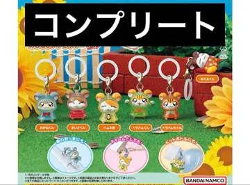 메지루시 액세서리 컴플리트 묶음 판매