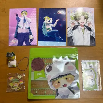 컬러풀 피치 시바님 묶음 판매