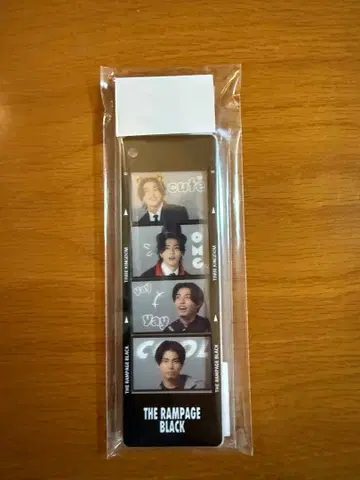 타케치 카이세이 포토그레이 키링