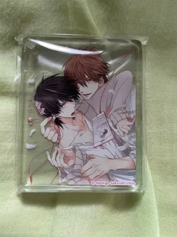 안기고 싶은 남자 1위에 내가 있었다. 다카이치 콜롯타 아니카페