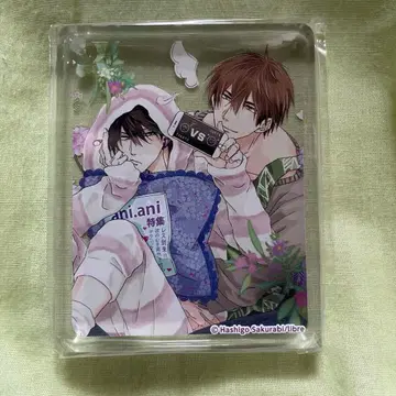 안기고 싶은 남자 1위에게 위협받고 있습니다 코롯타 애니카페