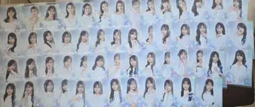 oh my pumpkin 브로마이드 54장 컴프 AKB48