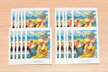 앙스타 세나 이즈미 파샤츠