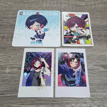 CrazyRaccoon 우루카 4세트