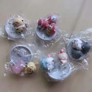 치이카와 초코 서플리먼트