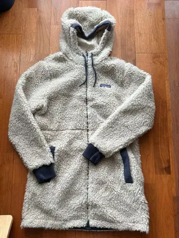 파타고니아 더스티 메사 후드티