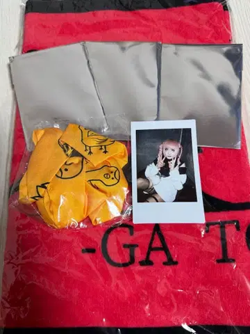 나방과 나비 잇시키 히요리 생일 폴라로이드 & 굿즈 세트