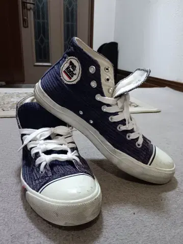 프로게즈 하이컷