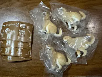 굼벵이 2 골든 리트리버 4개 세트