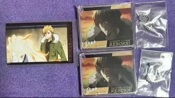 디노 애니 카페 묶음 판매