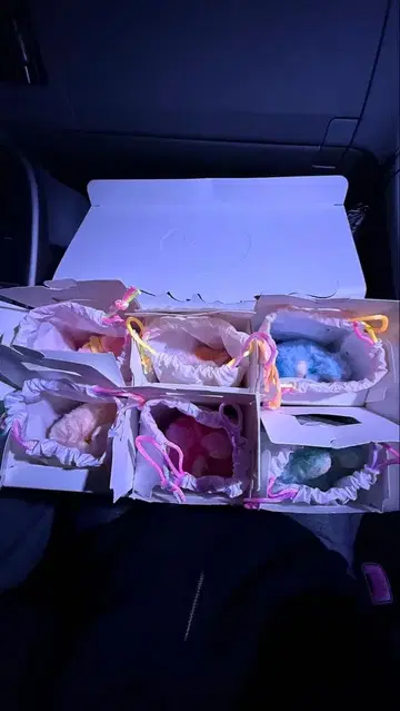 컬러풀한 봉제 인형 6개 세트