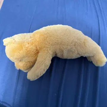 곰돌이 푸 전시회 봉제 인형