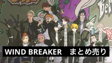 WIND BREAKER 묶음 판매