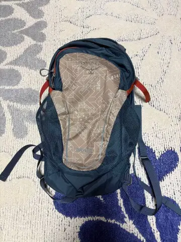 Osprey 데이라이트 13리터
