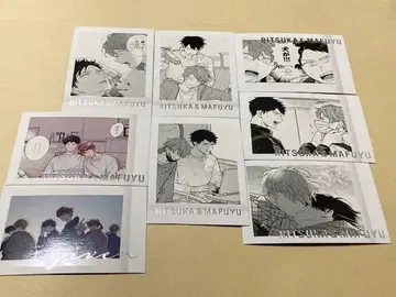 기븐전 ENCORE 파샤코레 PREMIUM 마후유 리츠카 리츠마후