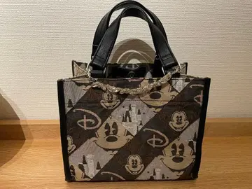 디즈니 리조트 자카드 직물 핸드백