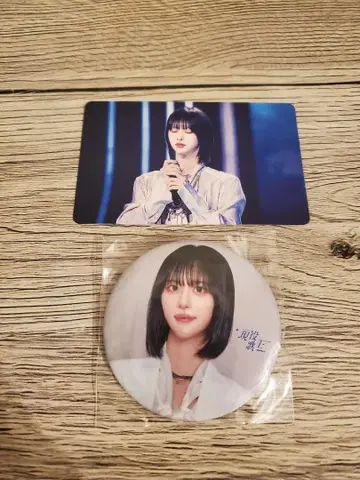 현역 가왕 트레이딩 카드 캔뱃지 Shin 세트