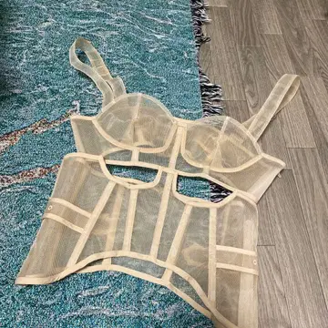 베이지 메쉬 뷔스티에