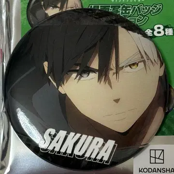 사쿠라 하루카 카모플라쥬 트리 빌리지 캔뱃지