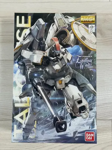 MG 1/100 톨기스 새상품 미조립 건담 프라모델