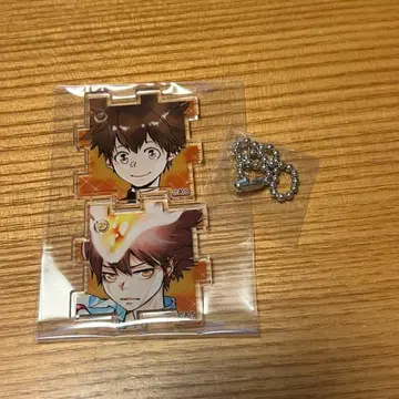 아마노 아키라 전시회 아크릴 퍼즐 사와다 츠나요시 츠나