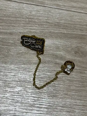 스키즈 StrayKids 방찬 찬이돌 체인 포함 핀즈