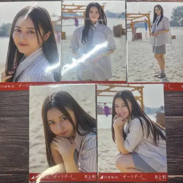 이노우에 카즈 치트데이 5종