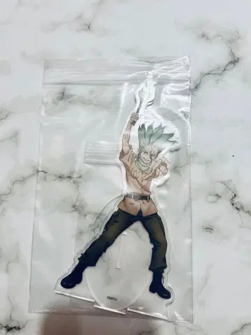 Dr.STONE 닥터스톤 이시가미 센쿠