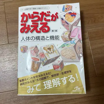 몸이 보이는 제1판