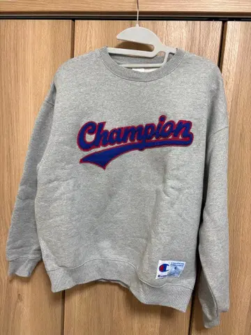 챔피온 Champion 트레이닝복 남성용 C3-W029 그레이 L