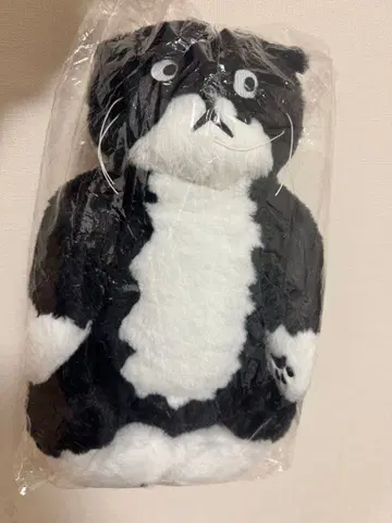 라스트 원!! 애프터눈 티 리빙 등신대 체 용주 검은 고양이 모