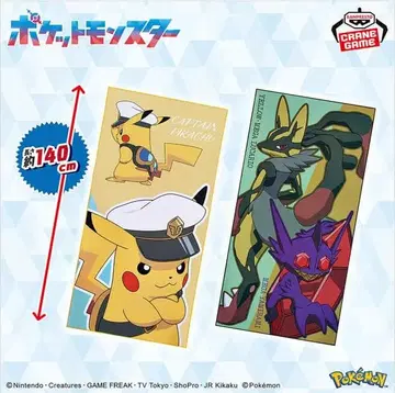 [ 메루카리 택배 ] [ 2종 세트 ] 포켓몬 빅 극세사 타월 전 2종