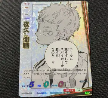 하이큐!! 바보카!! BREAK 야쿠 모리스케 SP 덤 포함