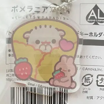 포메라니안 모찌