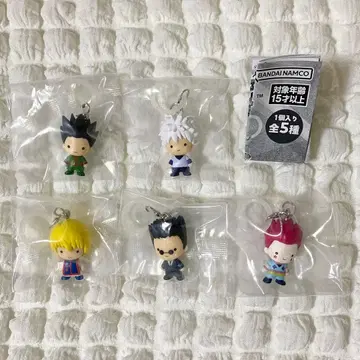 HUNTER x HUNTER 메지루시 액세서리 컴플리트 세트
