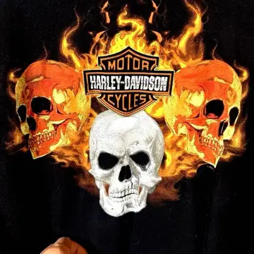 Harley-Davidson 스컬 긴팔 티셔츠 2006년 새상품급
