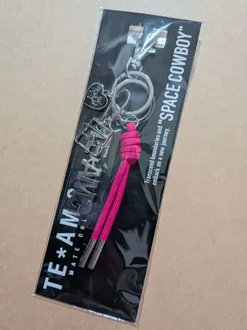 JSB3 이와타 타카노리 SPACE COWBOY 백참