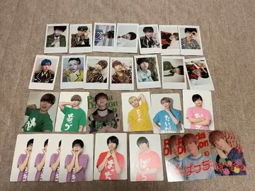 팬더드래곤 폴라로이드 하피카 트레이딩 카드