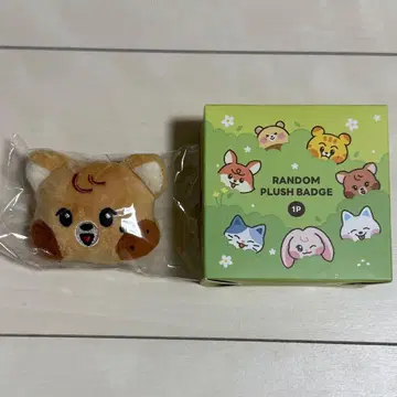 NCT DREAM 라인 프렌즈 인형 배지 해찬