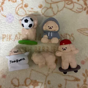 톰보니아 가챠 피규어