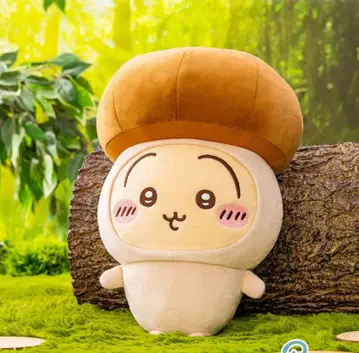 치이카와 (먼작귀) 버섯 봉제 인형 약 30cm 토끼