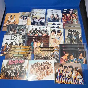 AKB 그룹 CD 구매 점포 특전 17종 37매