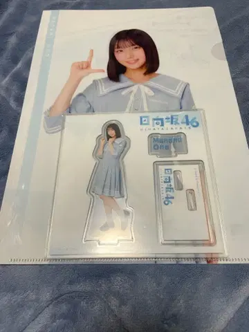 히나타자카46 복권 아크릴 스탠드 클리어 파일 2개 세트