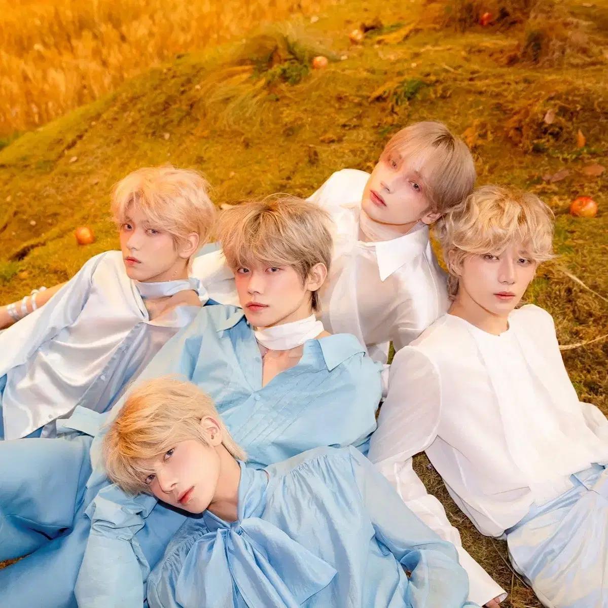 Unstanning clear out) TXT random box