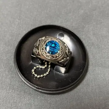 가정교사 히트맨 REBORN! 대공 반지